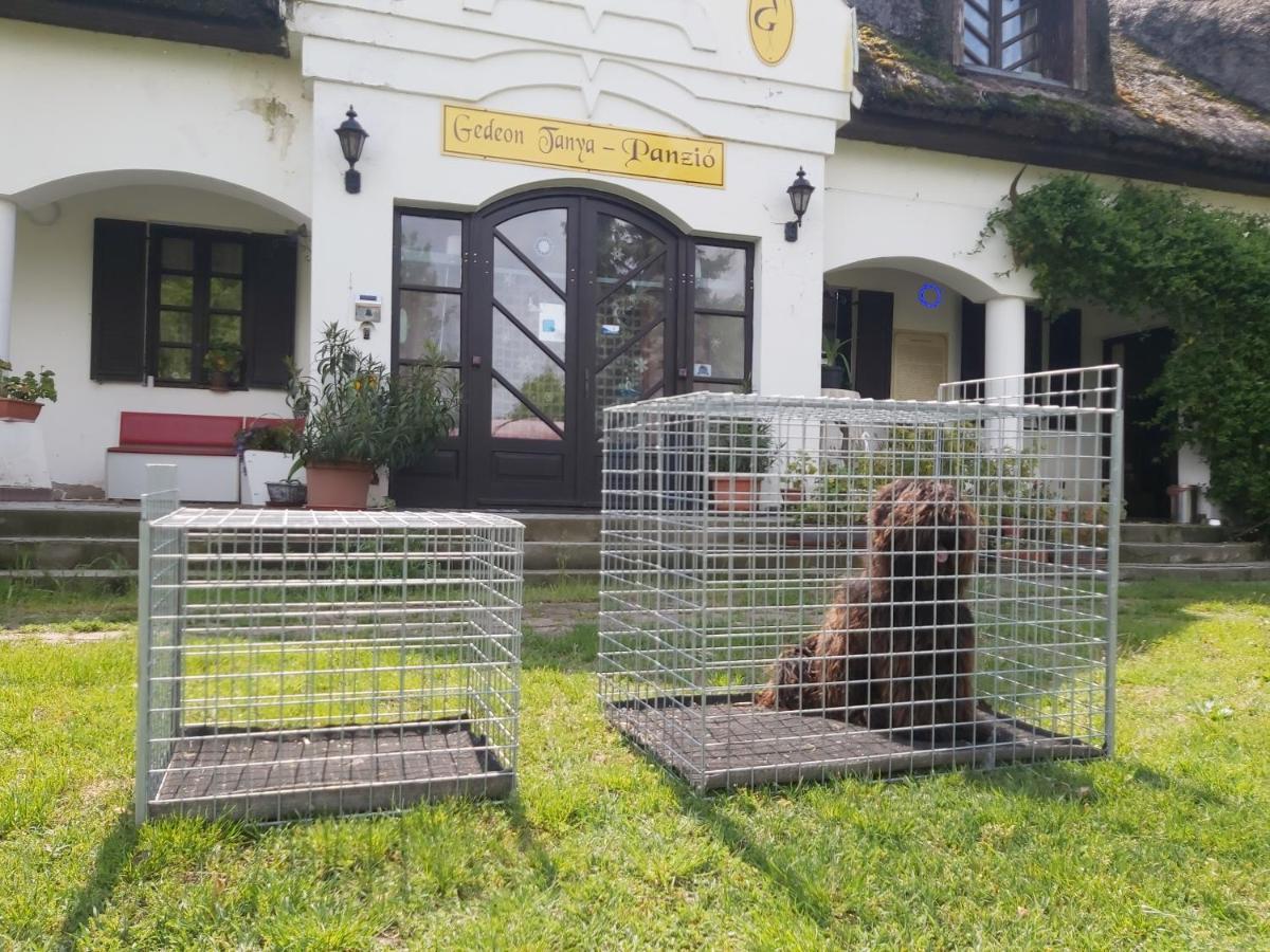 Gasthaus Gedeon Tanya Panzio Jakabszállás Exterior foto